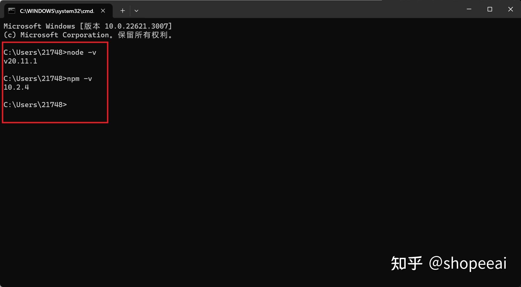  windows 10 nodejs npm yarn 