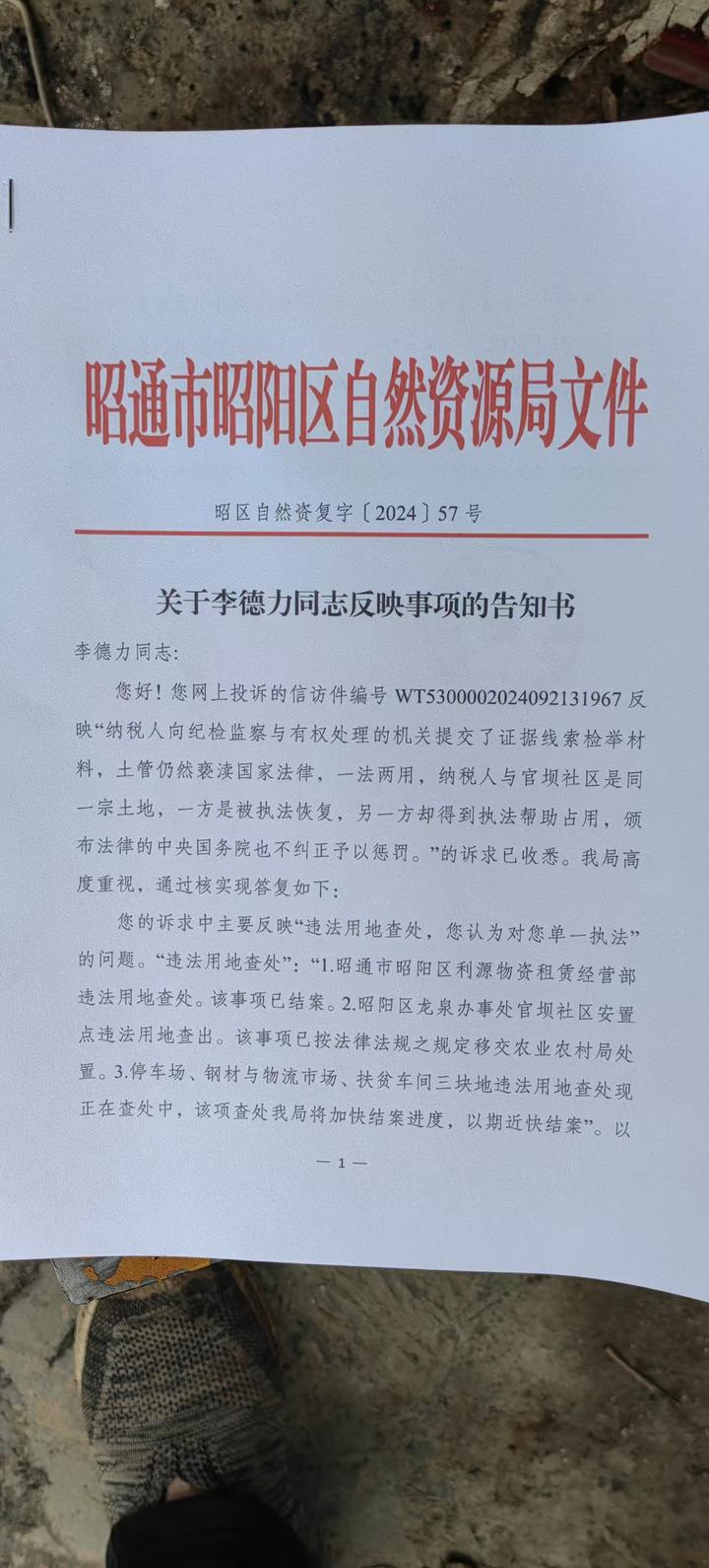 请问昭阳区自然资源局该不该履行职责查处