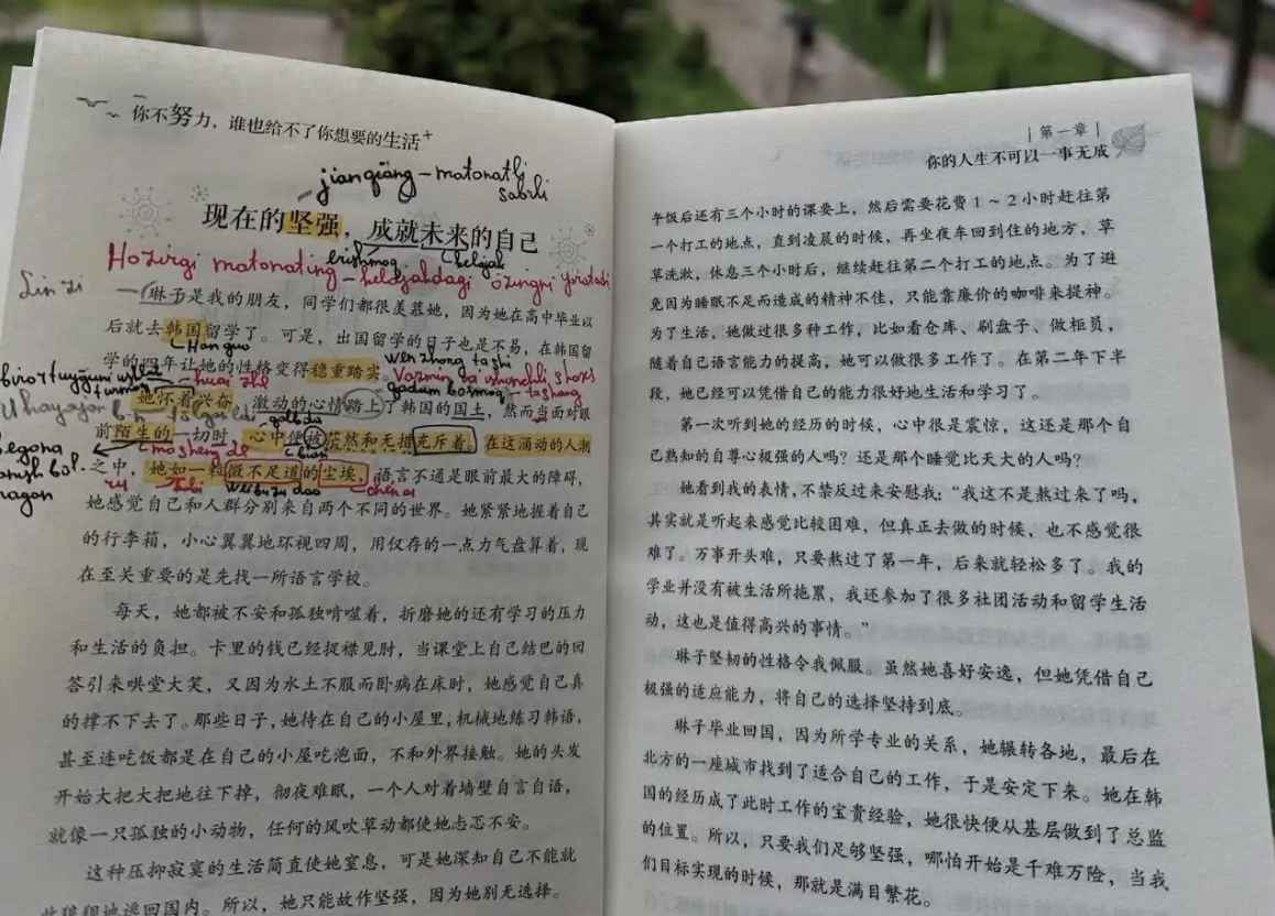 读外文原版书时，遇到大量生词应该怎么处理才最高效？