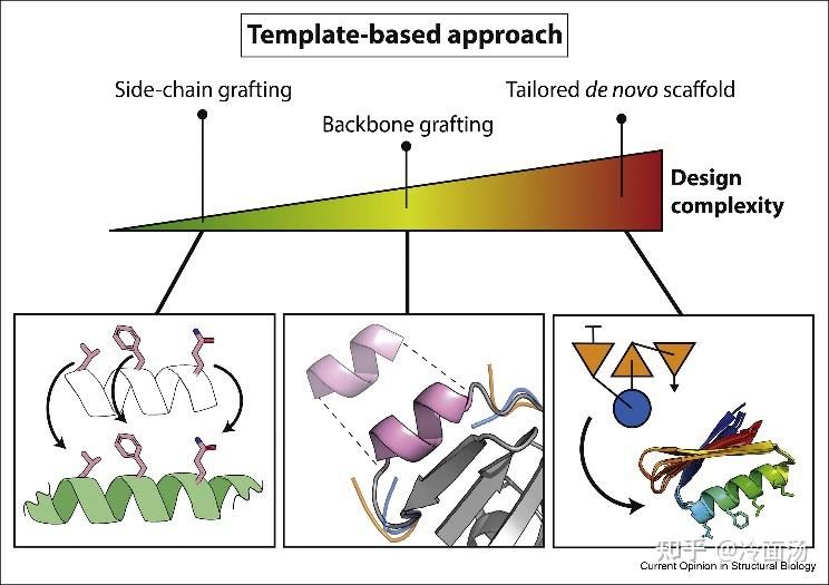 Computational design of novel protein–protein interactions – An ...