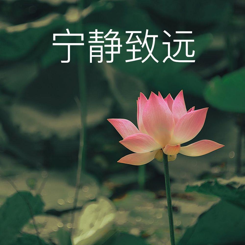 有没有那种粉色看起来骂人狠的头像?