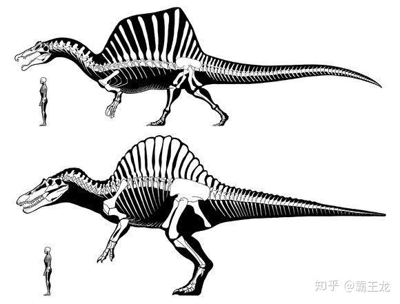 侏罗纪公园3中棘背龙单杀霸王龙是否科学