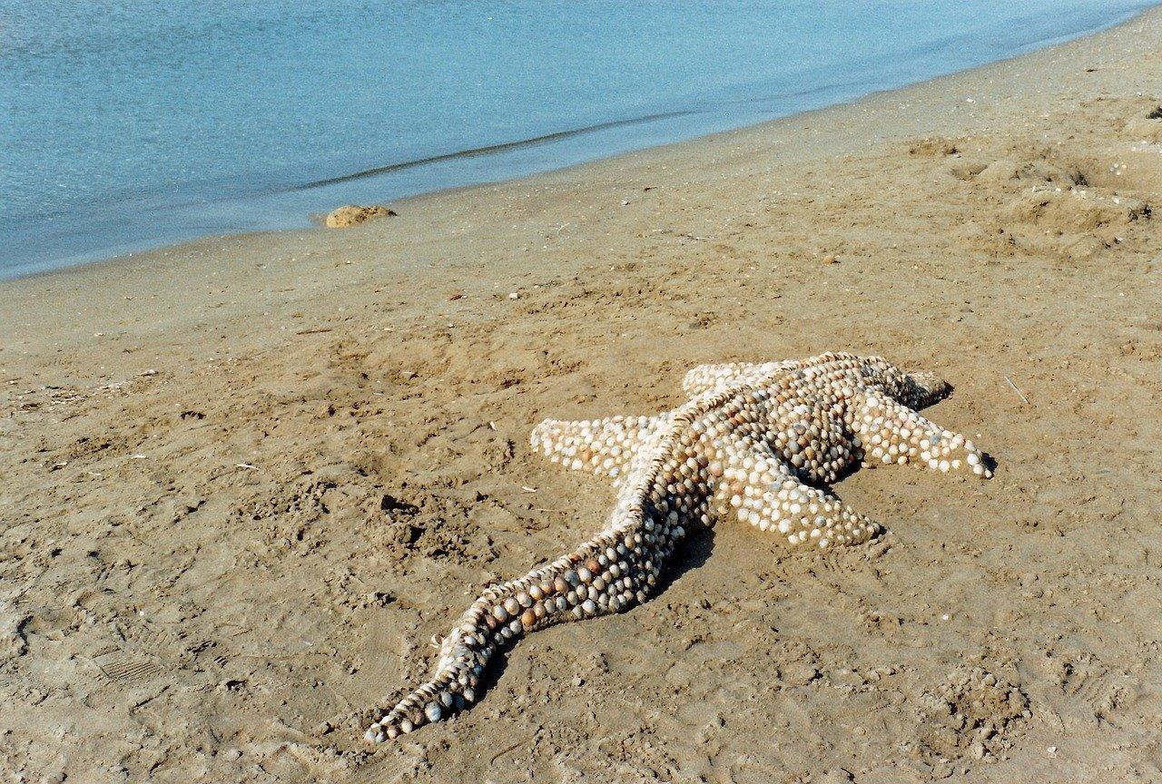 父母眼里的“宝宝”渐长成少年