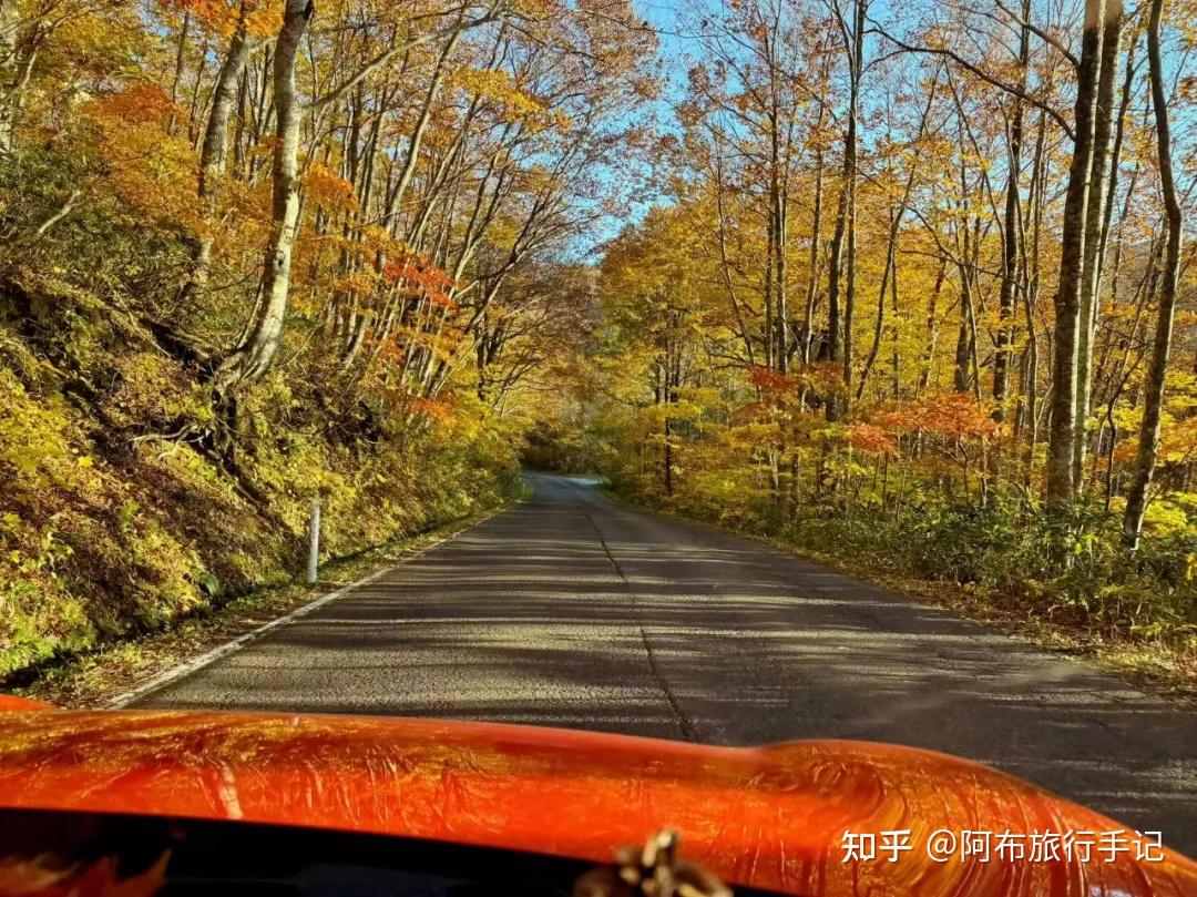 青森茑沼赏红叶：没想象中那么好，被“忽悠”的傍晚与清晨 - 知乎