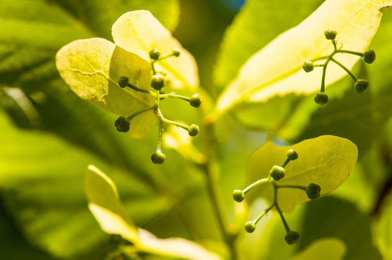 4. 禅意生活美学