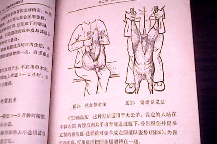 超出常识!阉割成为长寿秘诀?揭开太监与皇帝长寿之谜!