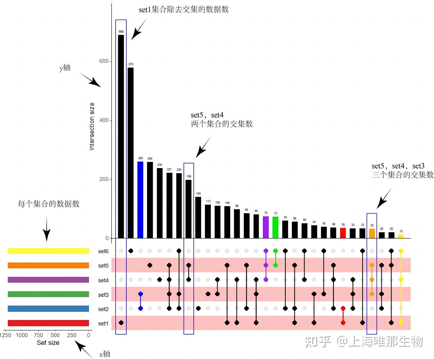 掌握数据可视化利器:Upset图(集合图)绘制方法详解 - 知乎
