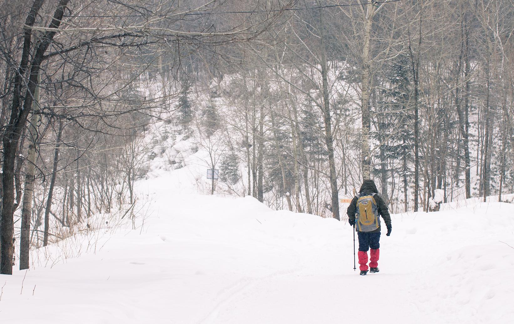 哈尔滨旅行有哪些攻略?有什么值得去的地方?-哈尔滨旅游有哪些攻略