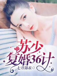 苏少复婚 36 计