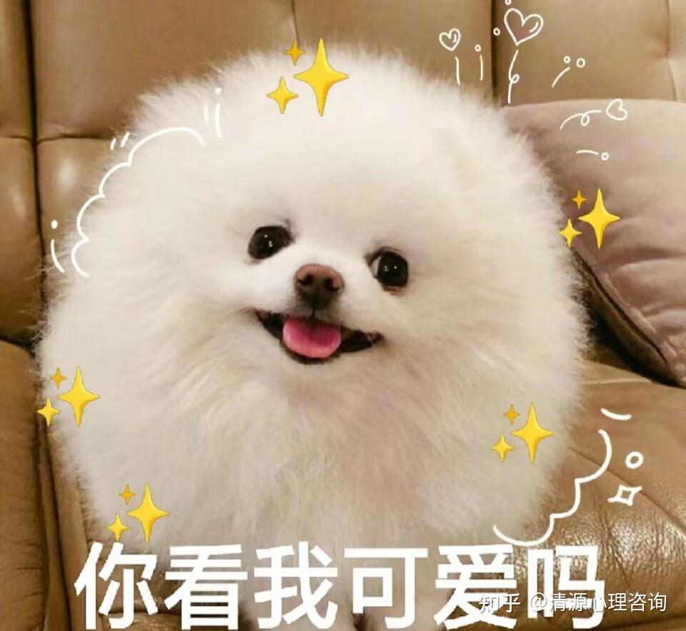 萌萌哒法则:为什么看到可爱的事物会让我们心情变好 - 知乎