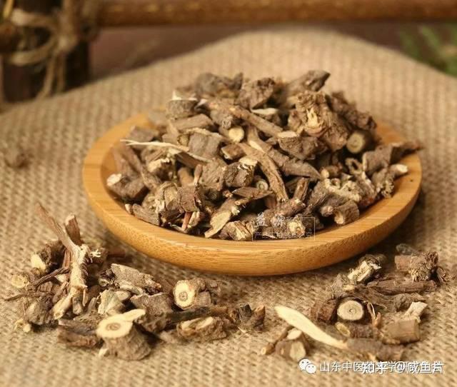 黄芪的功效和作用,配伍适用和药副作用有哪些? - 知乎