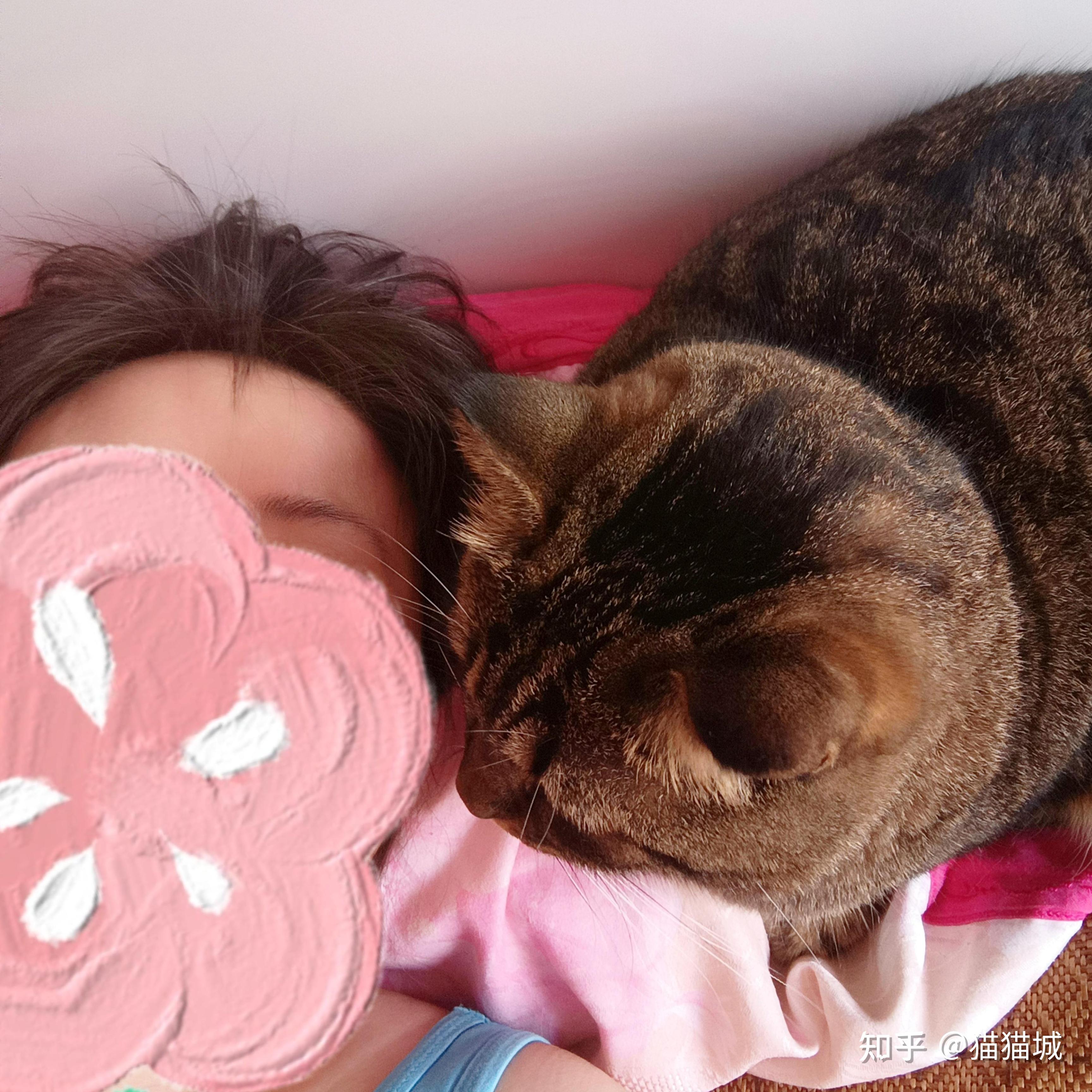 养猫如果不听话了，可以打吗？ - 知乎