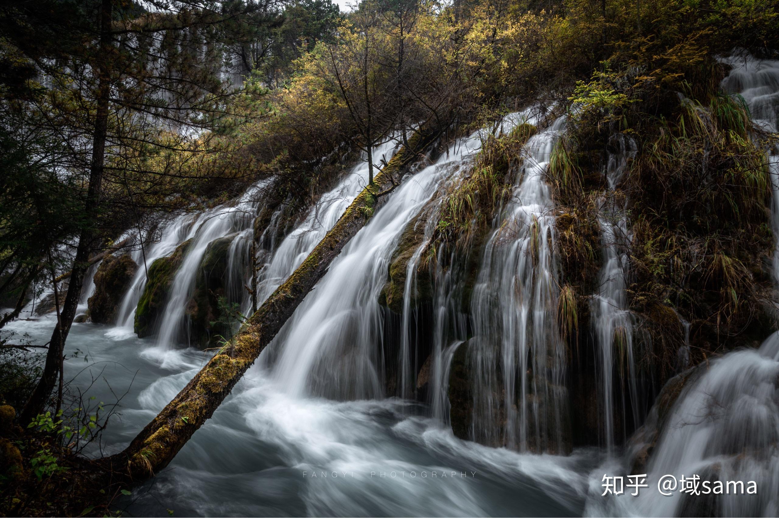 2020年11月 索尼a7m3还是尼康z6? - 知乎