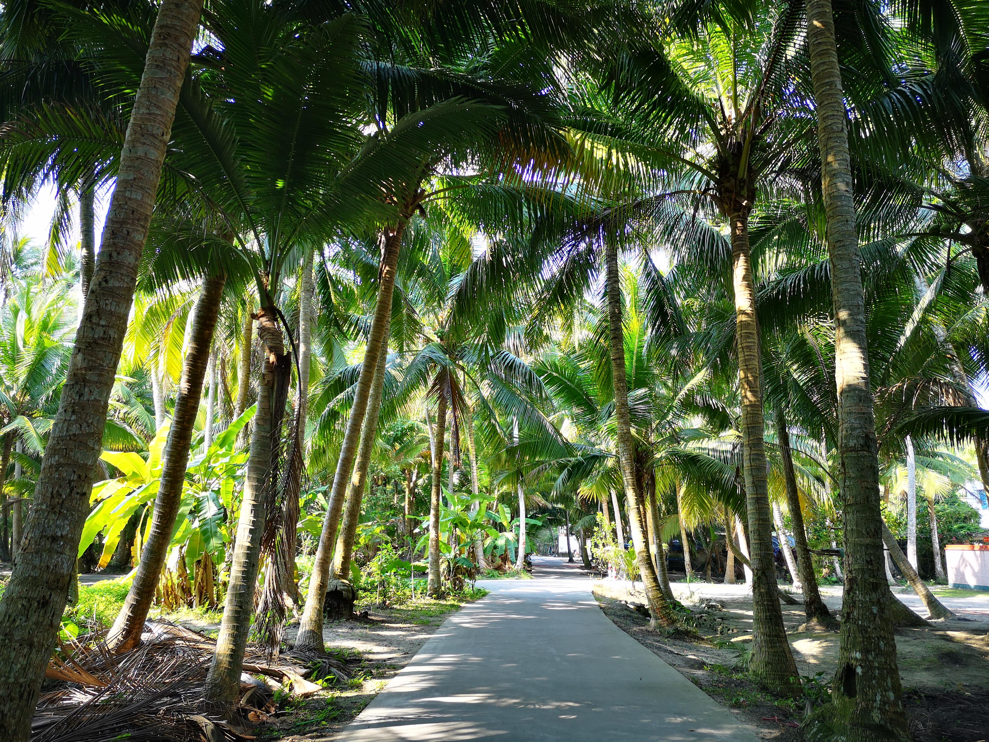 海南东郊椰林是一个什么景点有哪些吸引人的地方和游览建议
