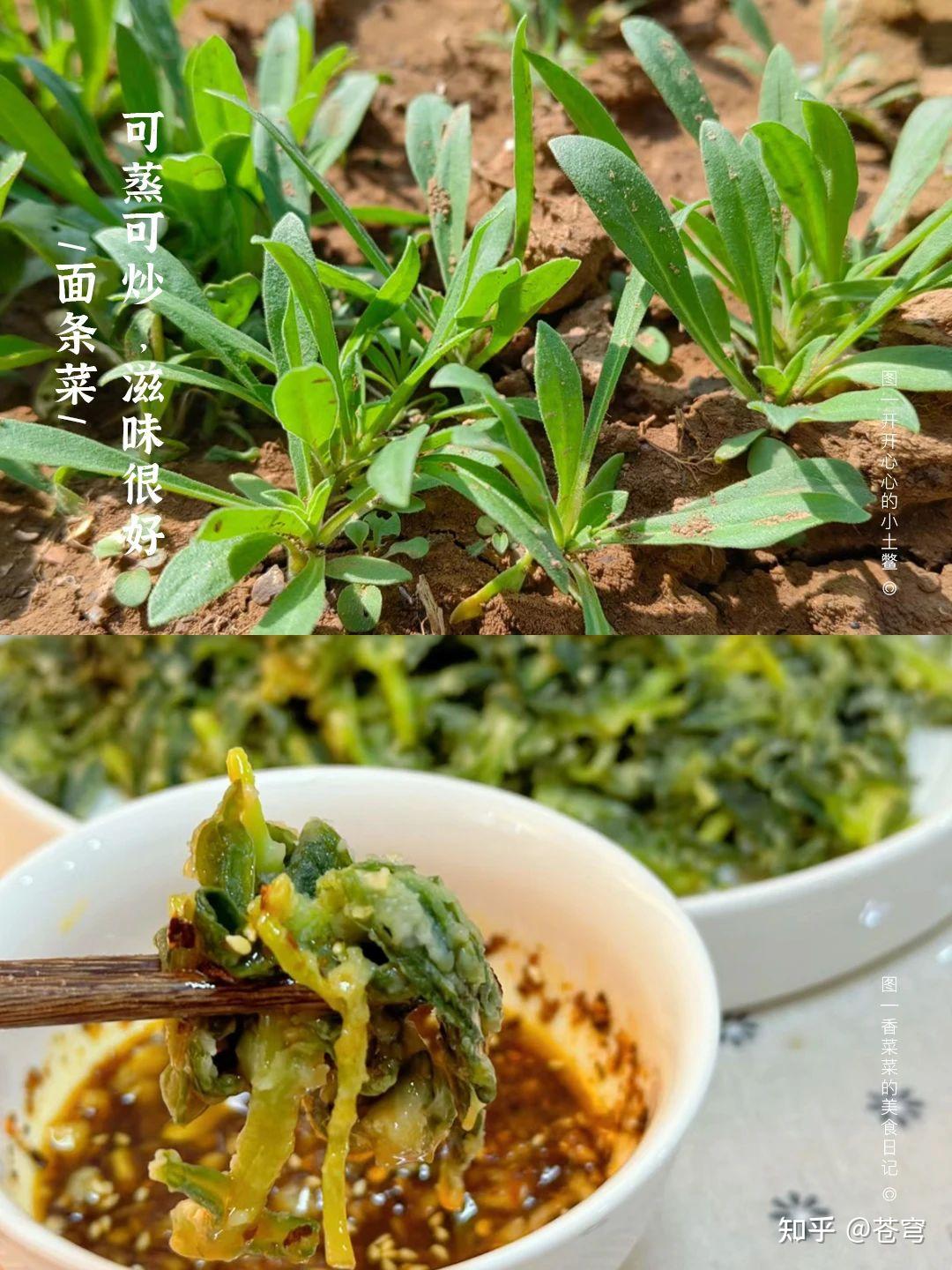 中国最好吃的14种地方菜,你可能一半没吃过! - 知乎