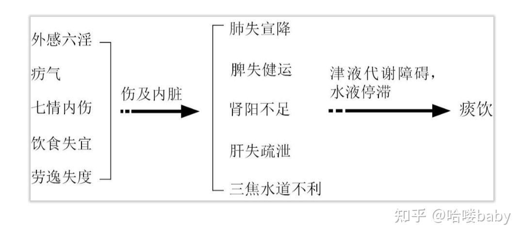 中医基础笔记 - 知乎