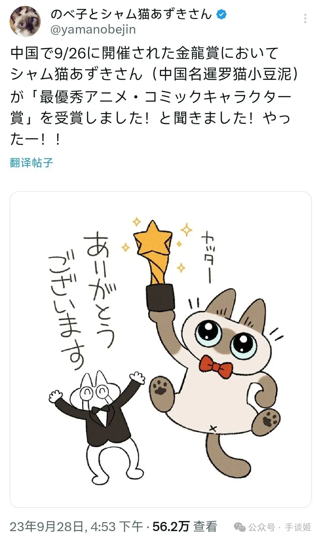 “暹罗猫小豆泥”去世 知乎 
