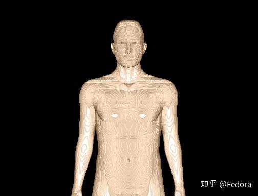 人体体素模型 - 知乎
