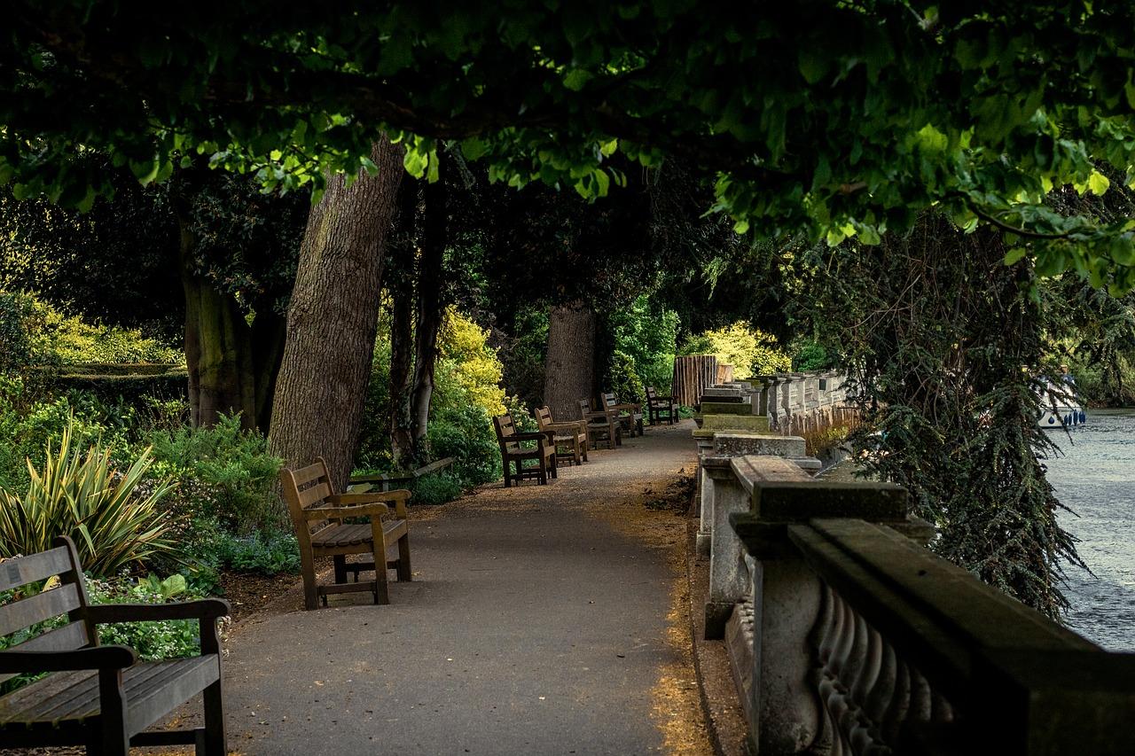 3. 结香树售价一览