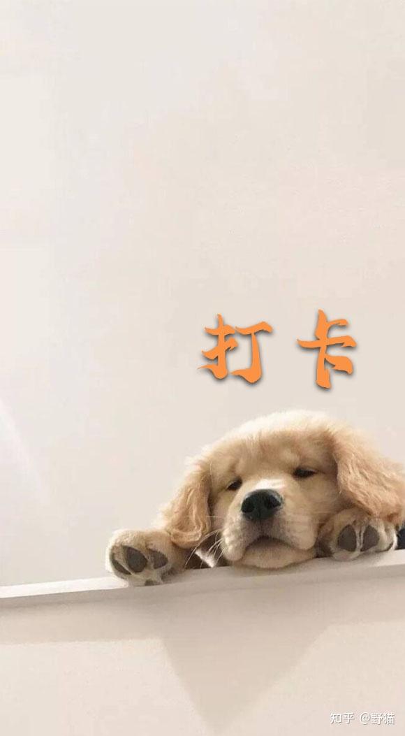 有没有可以提醒上下班打卡且简约好看的锁屏壁纸