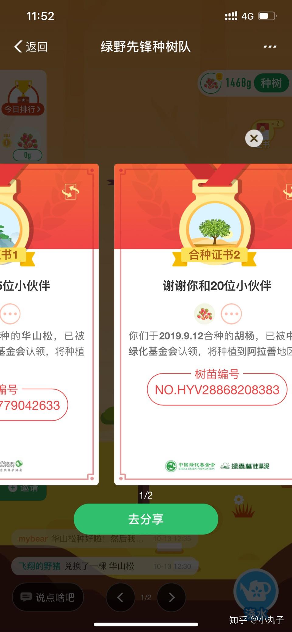 蚂蚁森林华山松合种