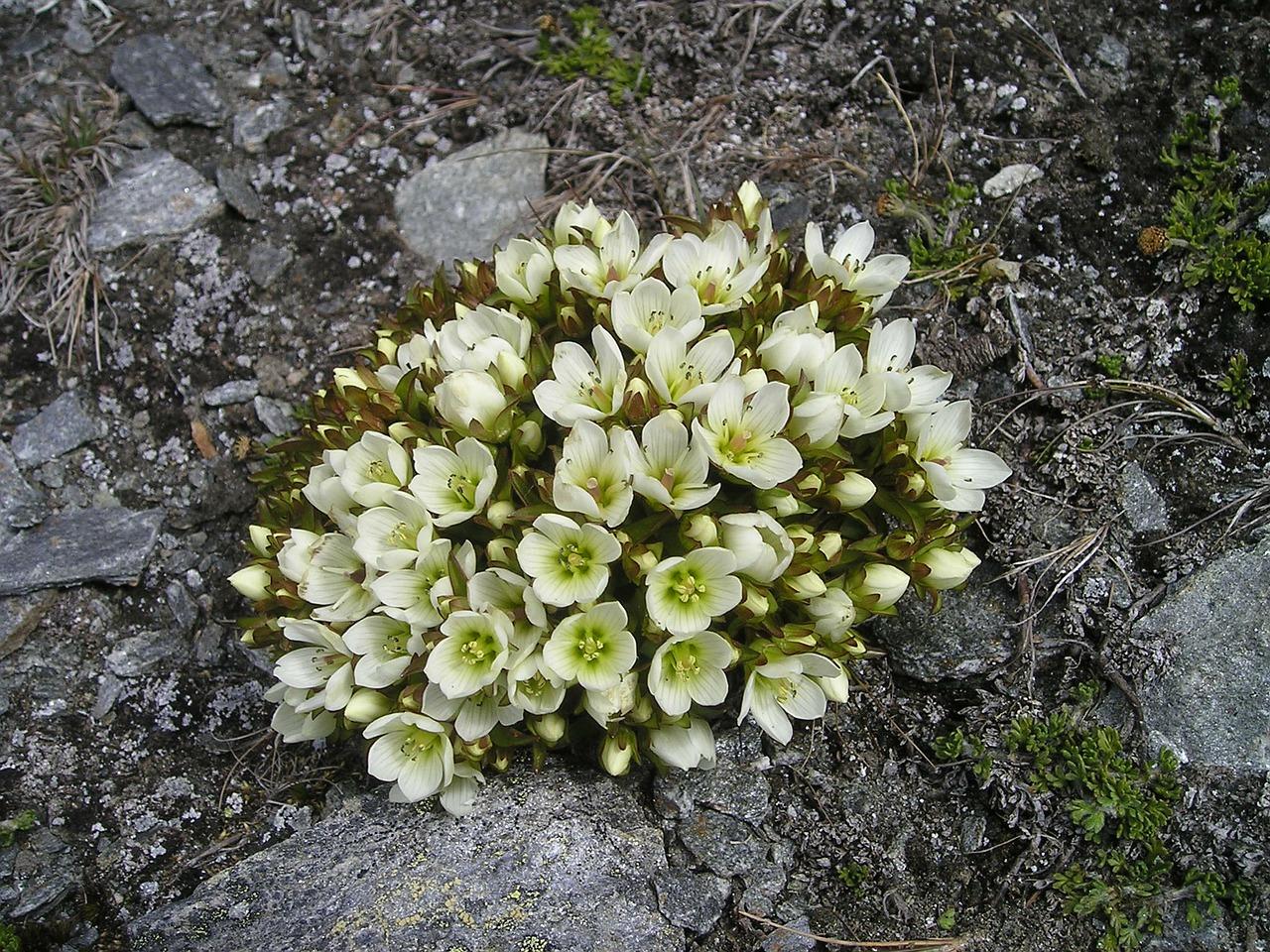 稀缺户型抢手吗