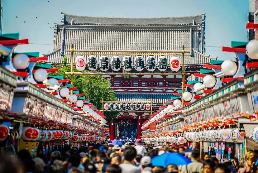 请输入图片描述
