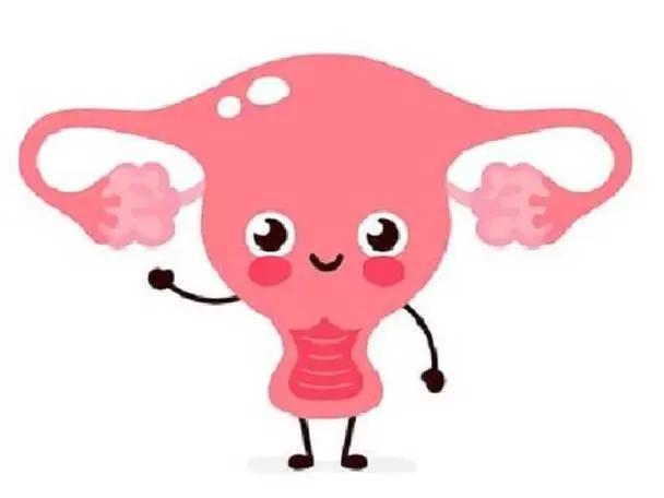 双角子宫对怀孕有没有影响呢