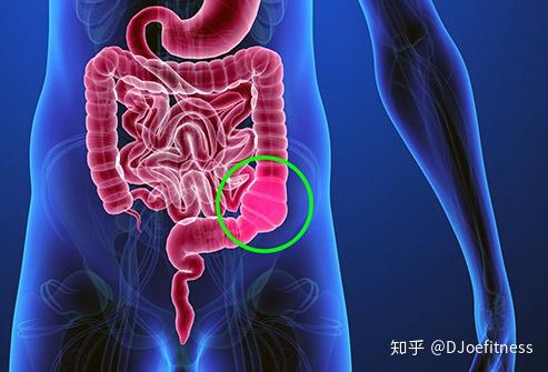 排便会帮助你减肥吗?很多人都不知道这其中秘密。 - 知乎