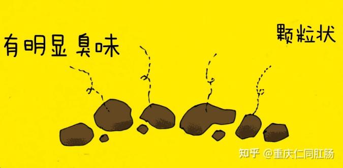 重庆肛肠医院?大便像羊屎一样,这是怎么回事? - 知乎