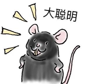 小鼠灌胃具体操作 - 知乎