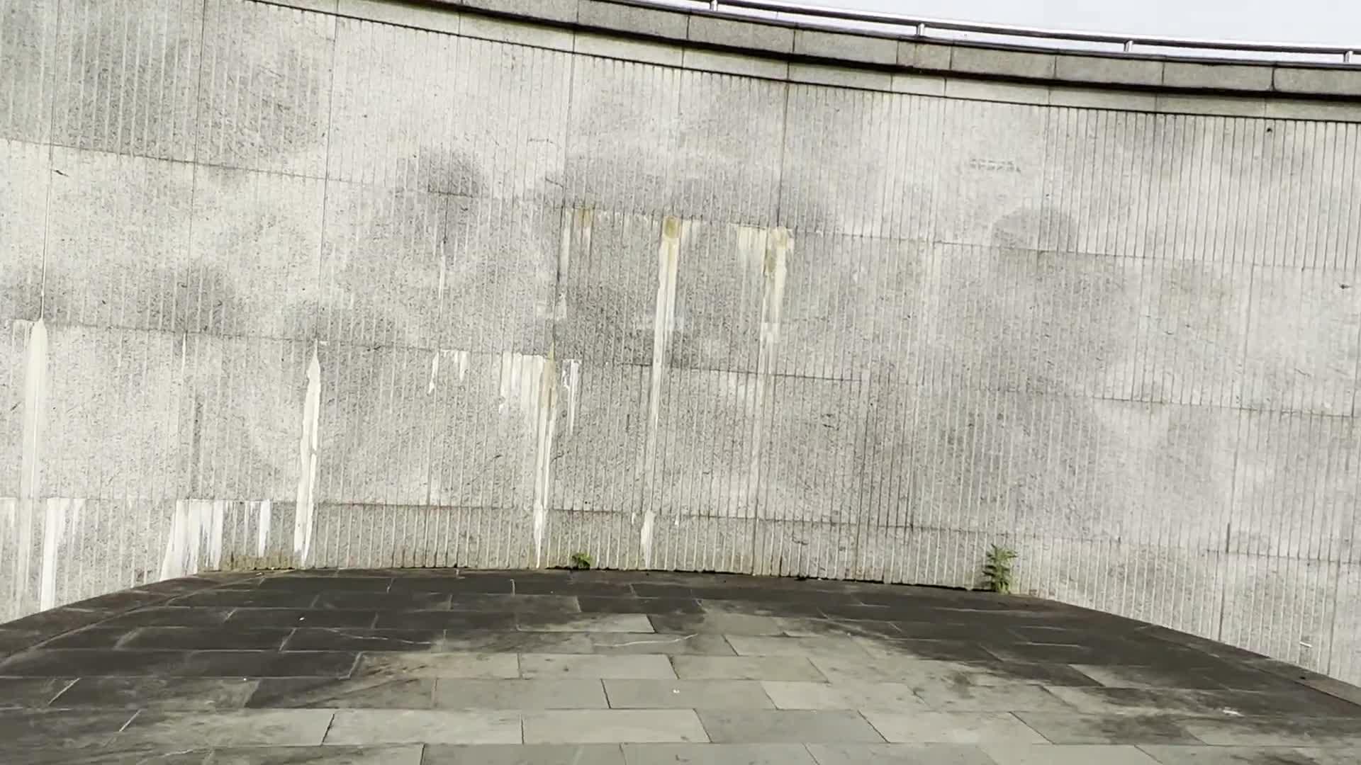 Easymocap 