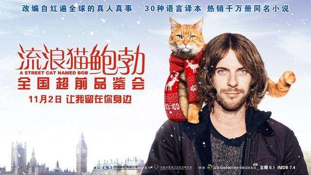 一猫一人，寒冬来临之际最温暖的治愈的电影 - 知乎