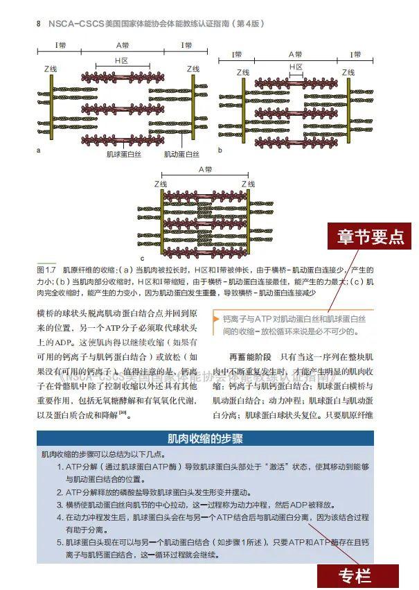 NSCA-CSCS（第4版）新增哪些内容？ - 知乎