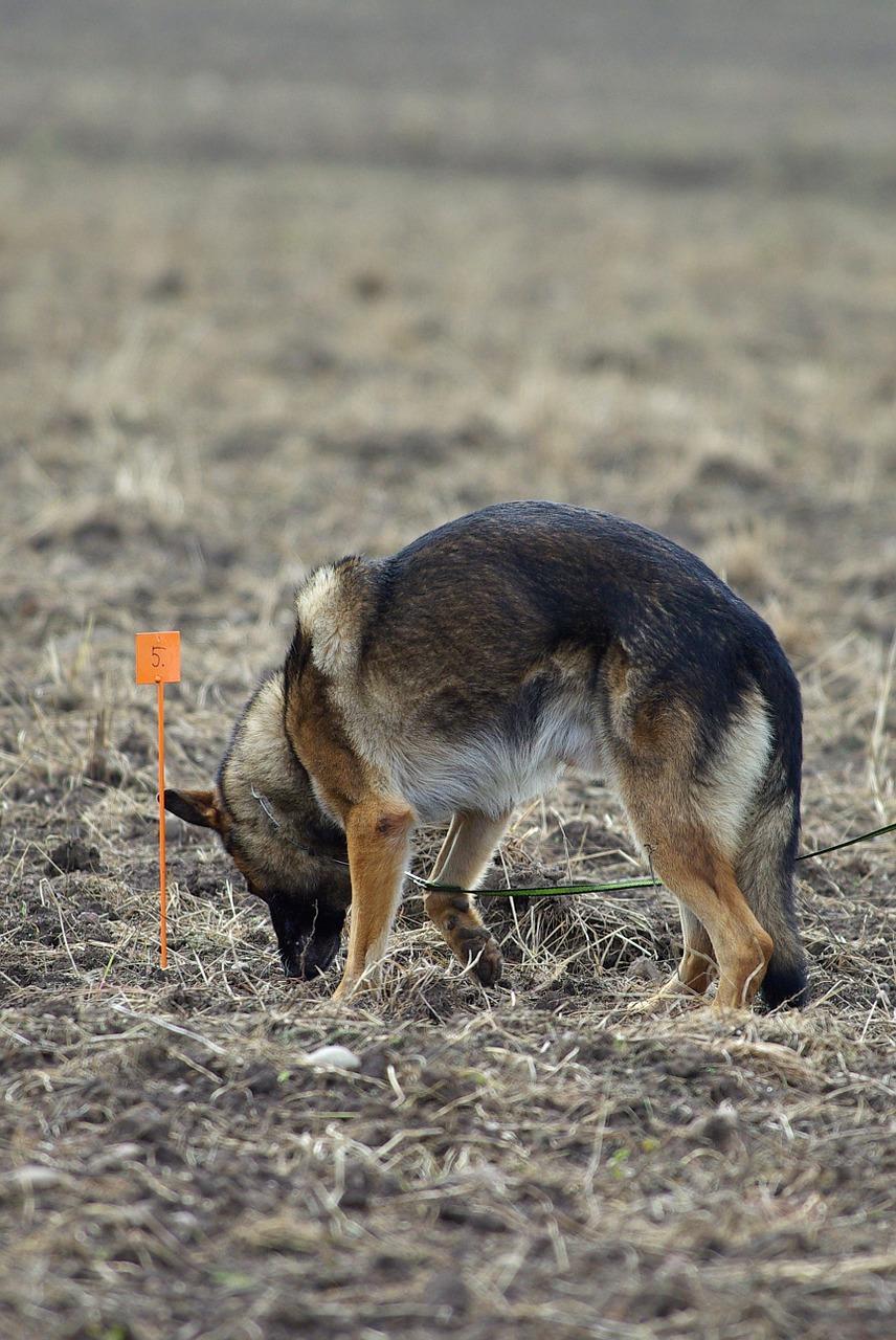 2. 关切需求变化
