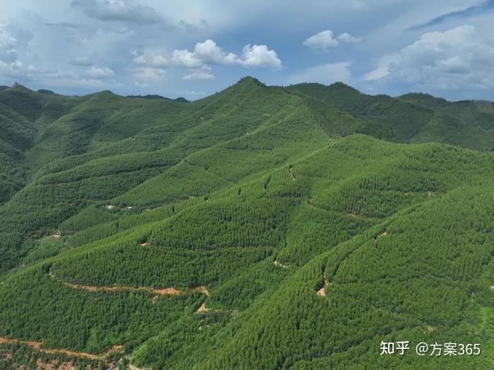 DeepSeek赋能智慧林业：森林资源监测，推动森林生态保护与生物多样性 - 知乎