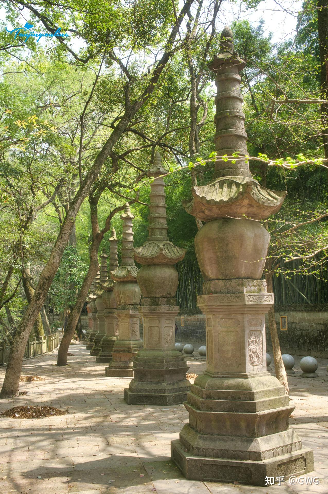 宁波天童寺 | 松风梵音·千年禅境漫游指南 - 知乎