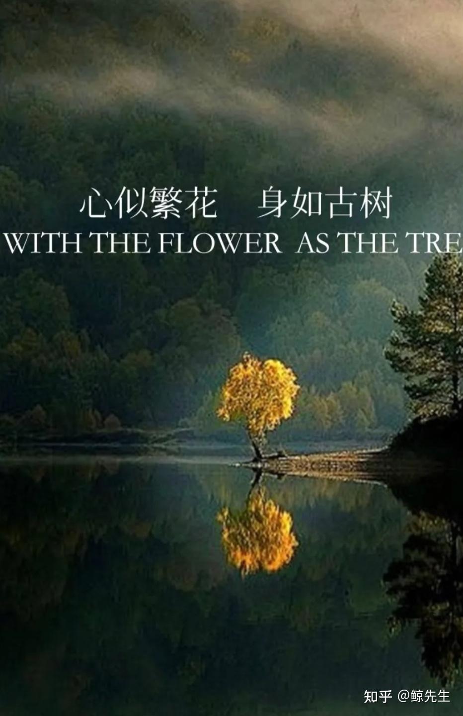 投资的著名理论有多讽刺- 知乎