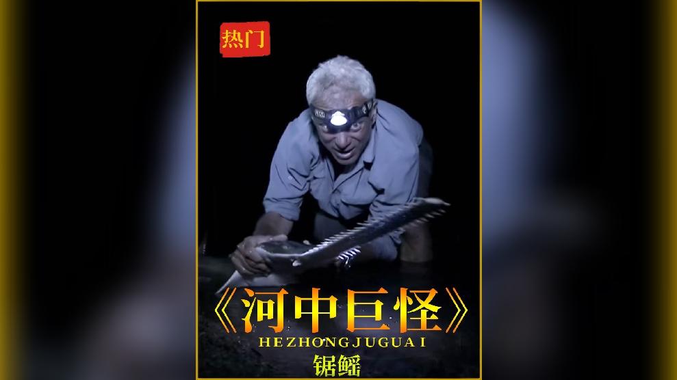 河中巨怪之锯鳐