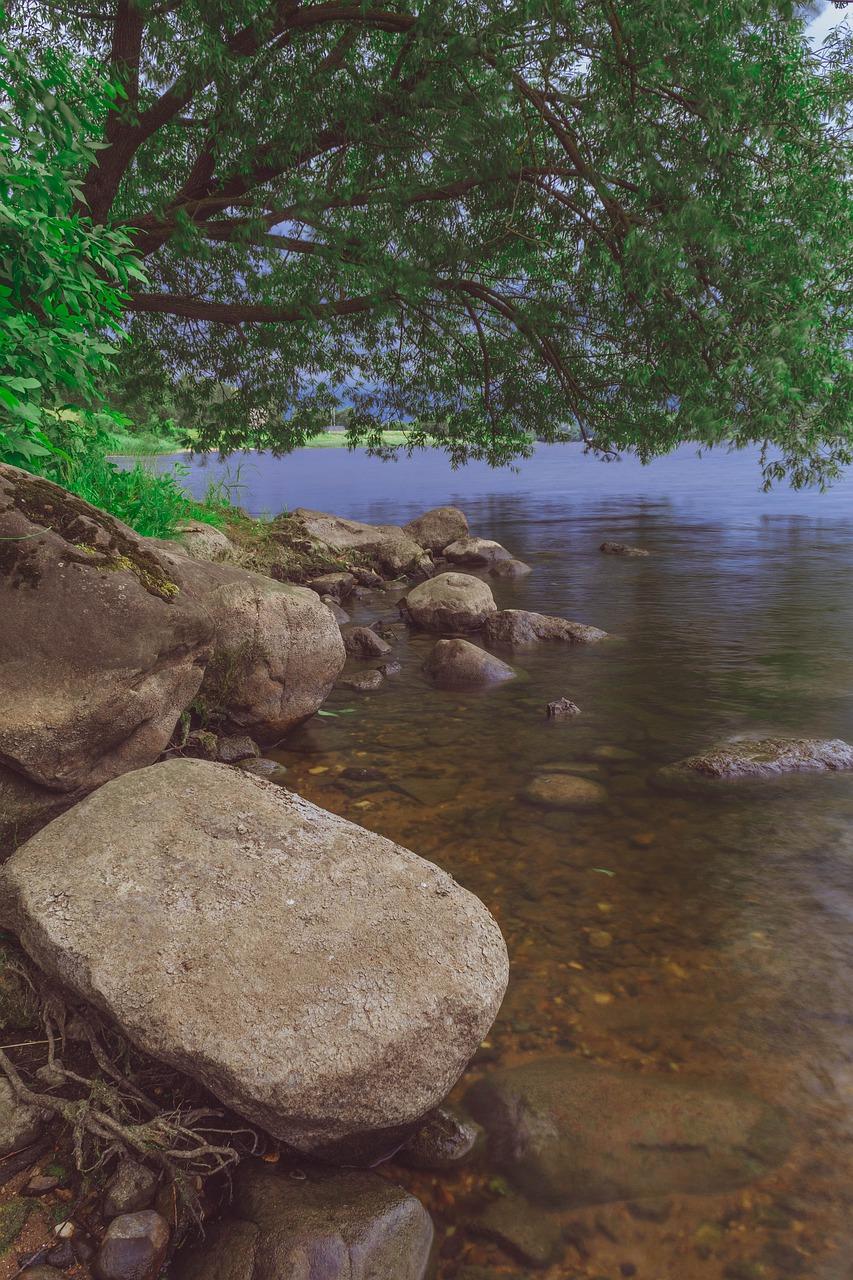 四级作文写作技巧指南