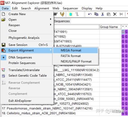 Mega Dna Program 如何使用MEGA软件构建系统发育树_速成实用经验 - 知乎