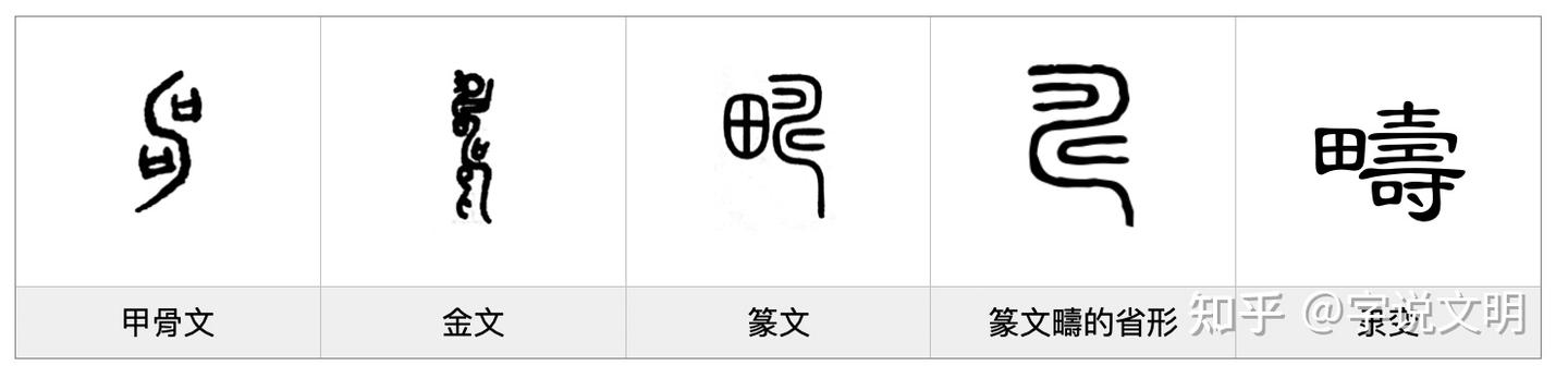 畴——每日一字·田部字 - 知乎