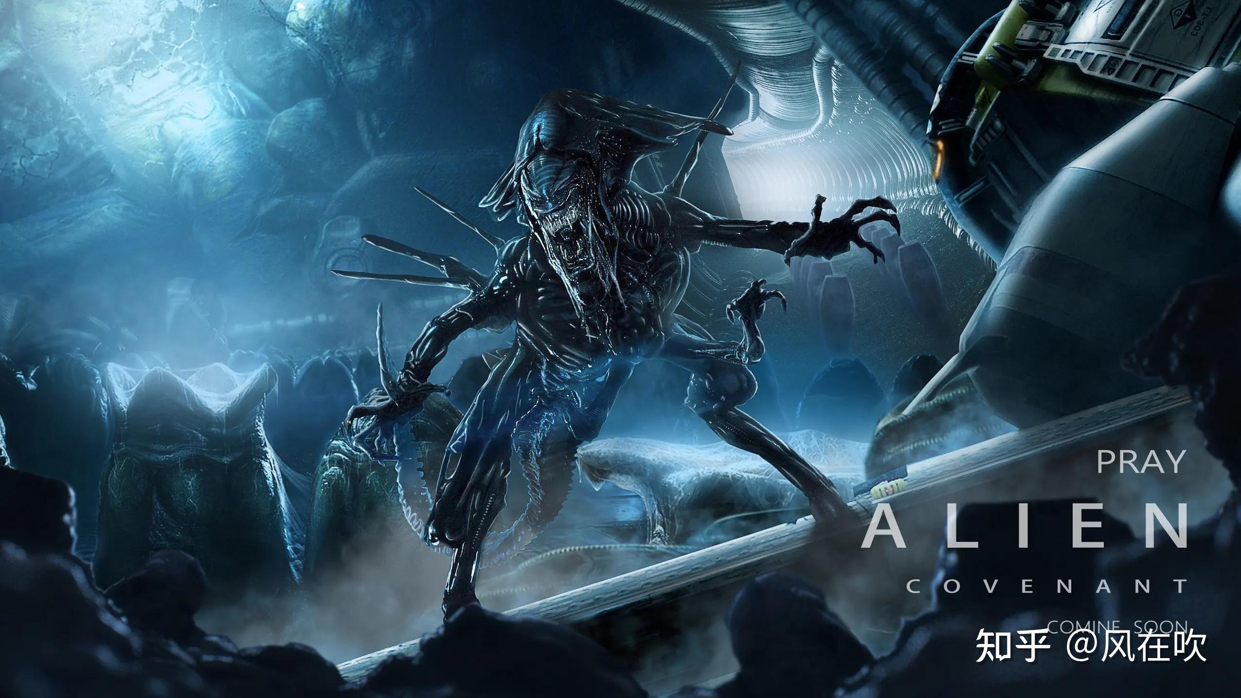 如何评价电影铁血战士猎物