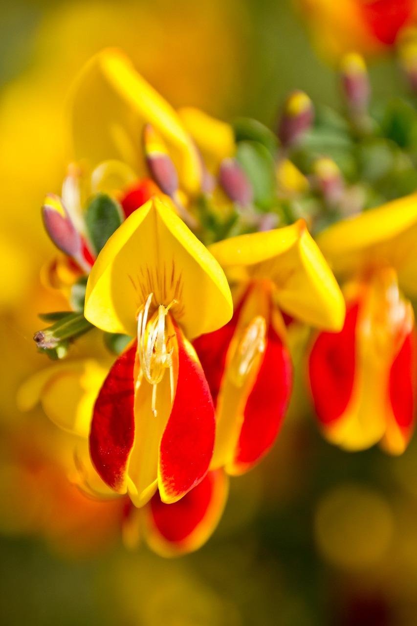 4. 长线投资潜力