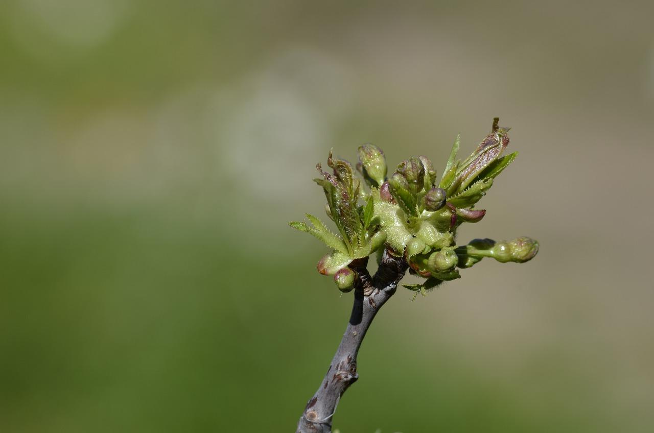 2. 精致户型设计