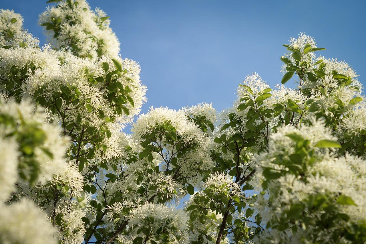 墨绿色包配什么衣服