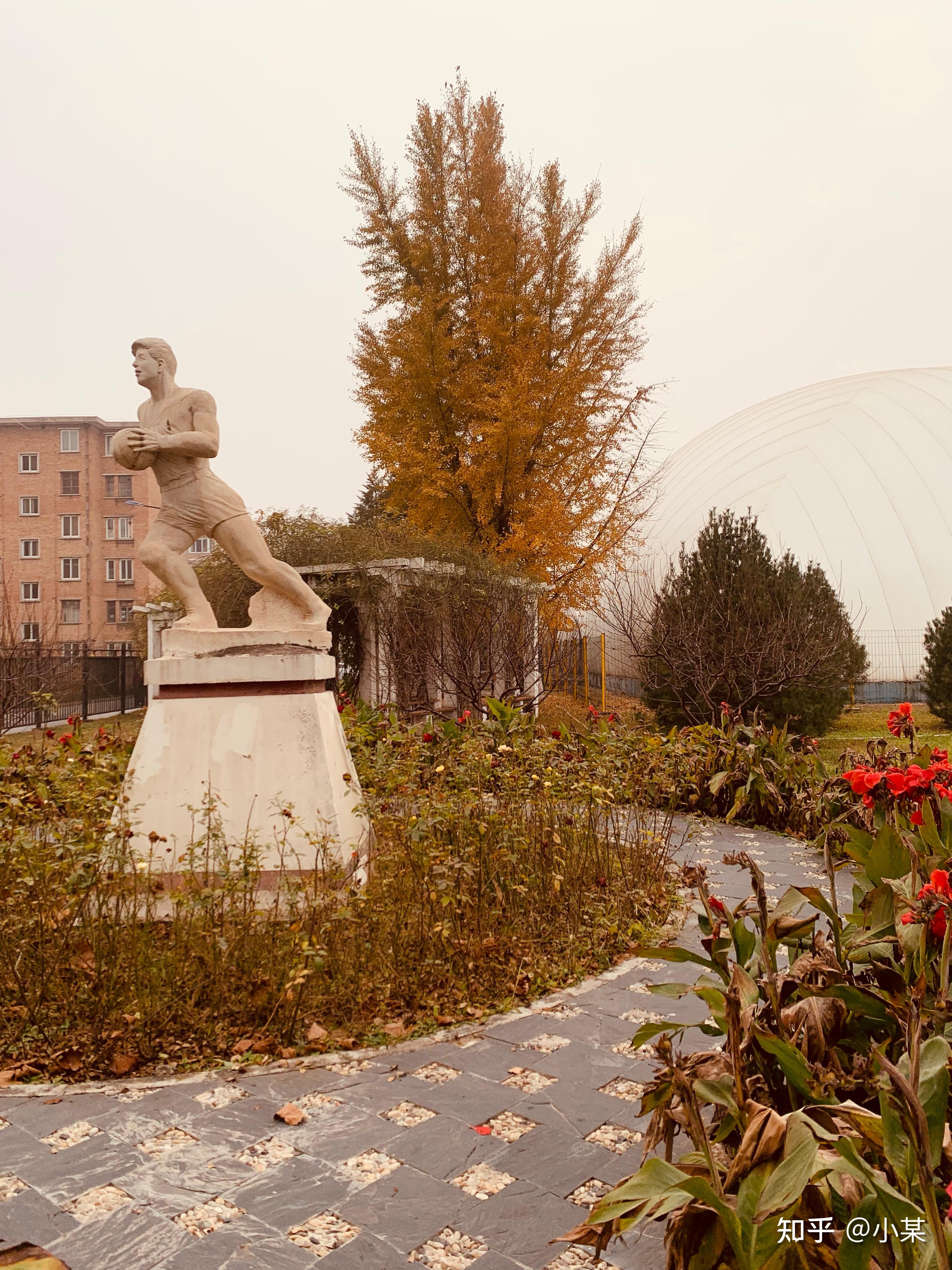 中国劳动关系学院这个学校怎么样? - 知乎
