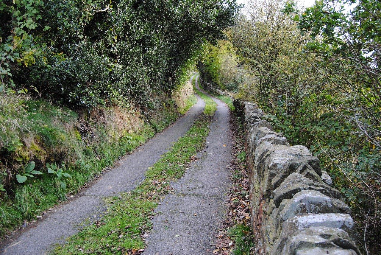 2. 最大车道尺寸