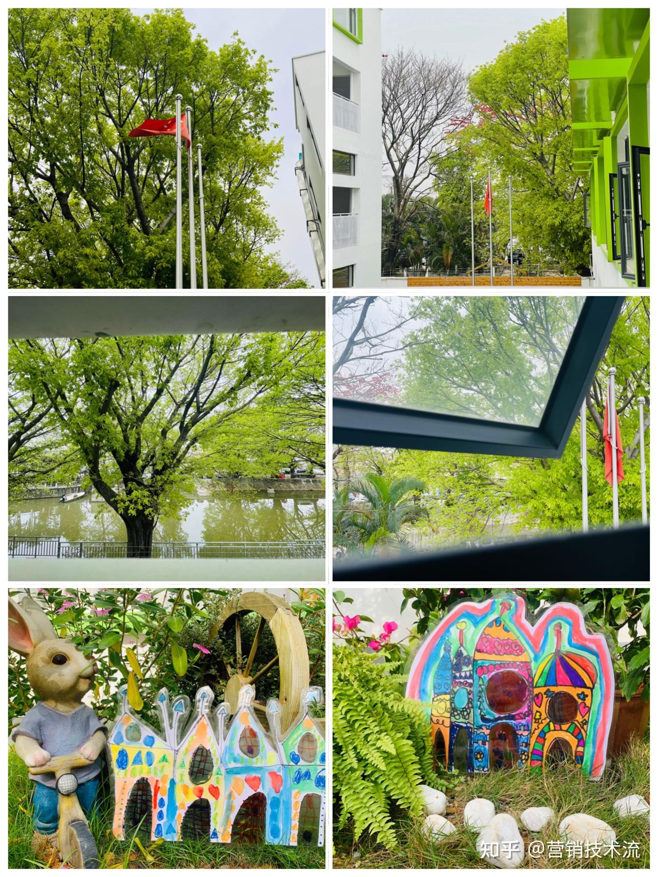 广州番禺绿岛幼儿园怎么样?