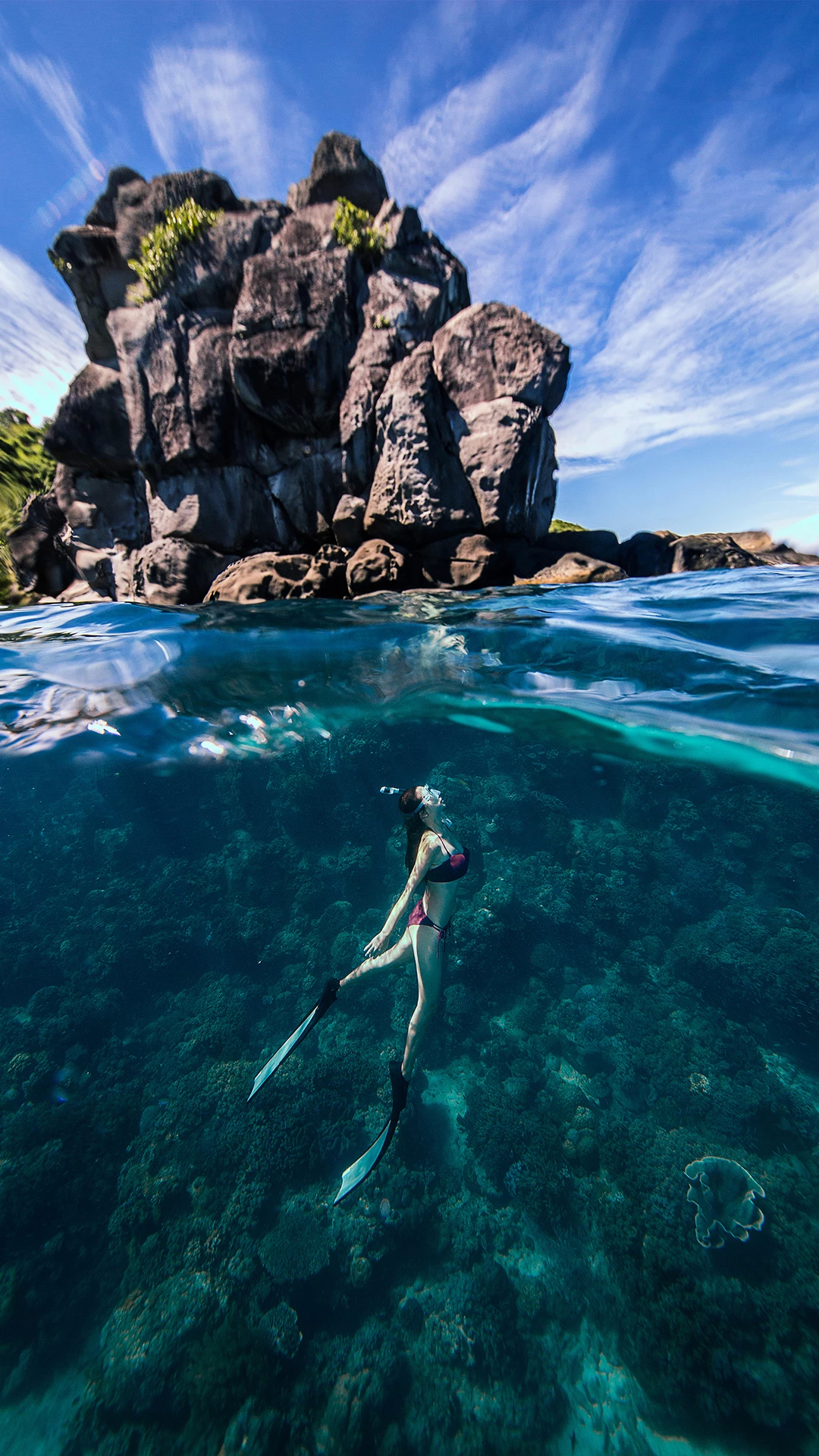 有没有潜水的壁纸